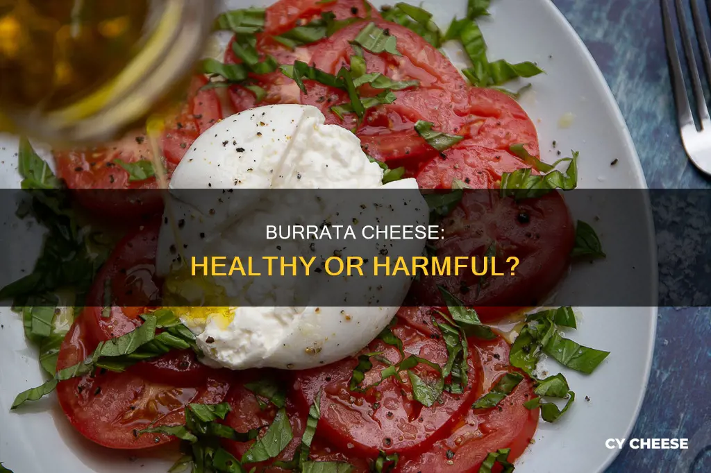 is burrata cheese bad for you