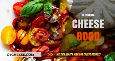 Burrata Cheese: Delicious, Healthy, and Worth the Hype?