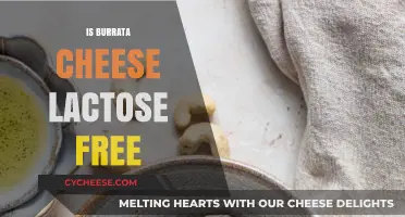 Burrata Cheese and Lactose: Can You Enjoy It?