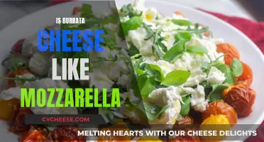 Burrata and Mozzarella: What's the Difference?