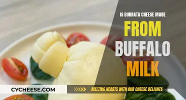 Burrata Cheese: Buffalo Milk's Rich, Creamy Secret