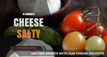 Is Burrata Cheese Salty? Exploring Its Flavor Profile and Uses