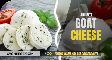 Burrata: A Creamy Twist on Goat Cheese