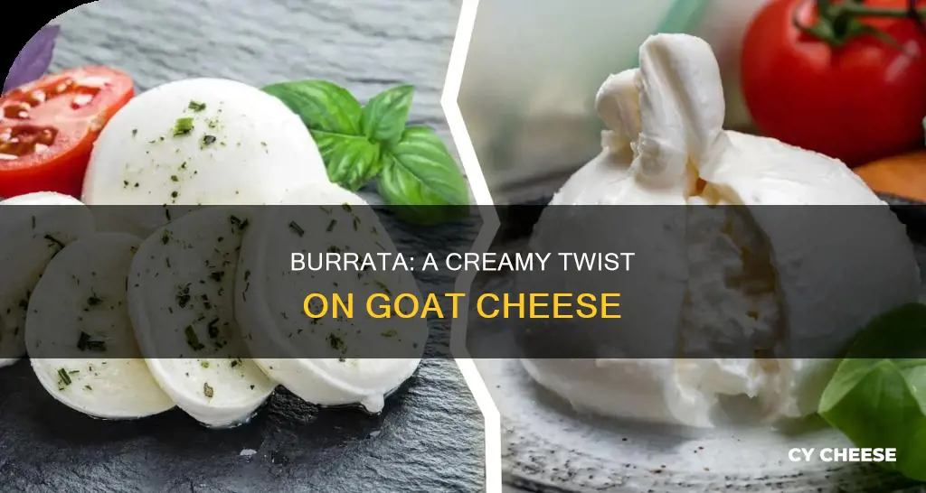 is burrata goat cheese