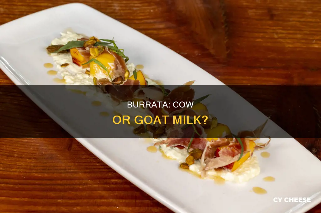 is burrata goat cheese