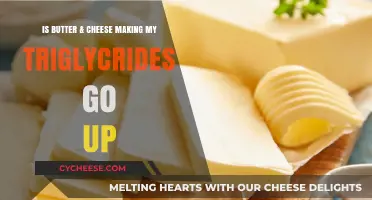Butter and Cheese: Are They Raising Your Triglyceride Levels?
