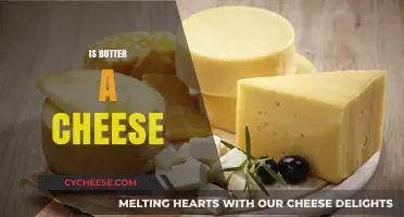 Butter vs. Cheese: Unraveling the Dairy Dilemma and Key Differences