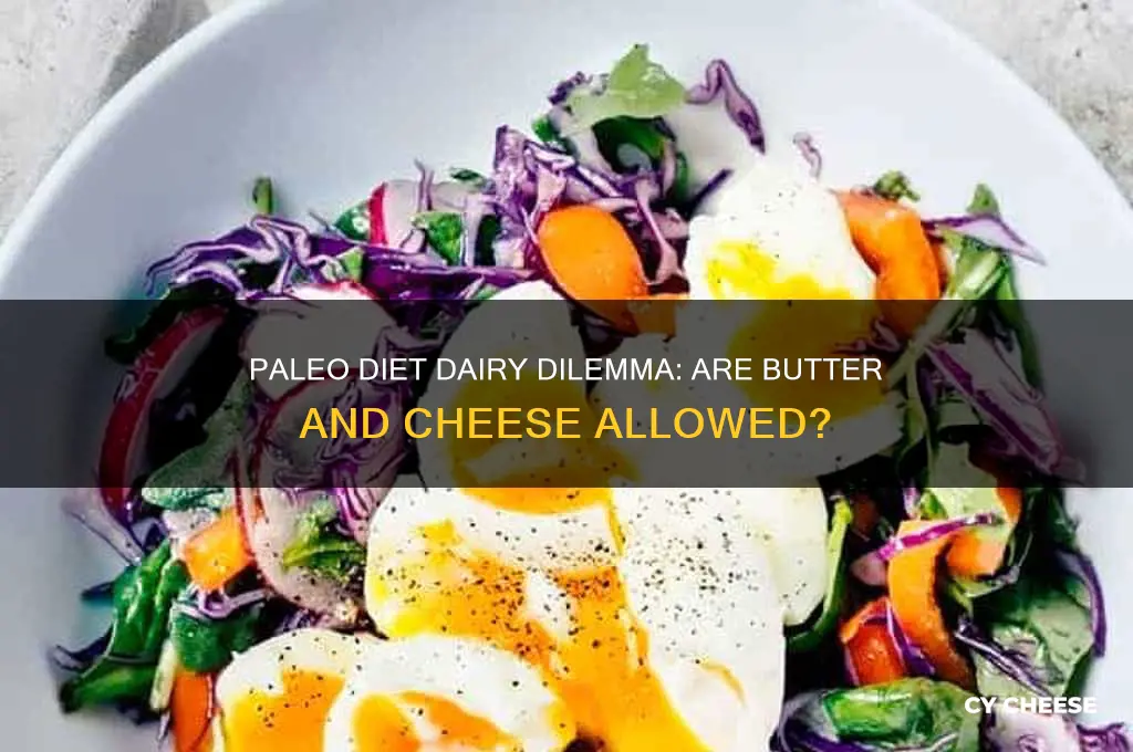 is butter and cheese ok on paleo diet