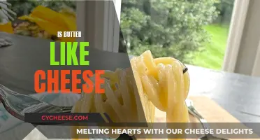 Butter and Cheese: Similarities and Differences