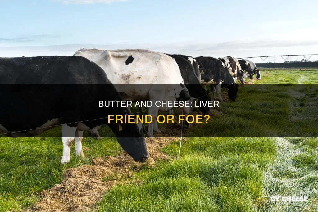 is butter or cheese bad for your liver