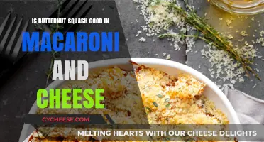 Butternut Squash Mac and Cheese: A Delicious Combination?