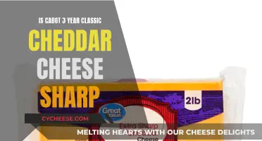 Cabot 3-Year Cheddar: Is It Sharp Enough for You?