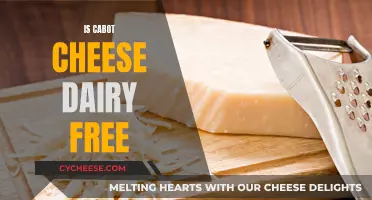 Cabot Cheese: Dairy-Free or Not?