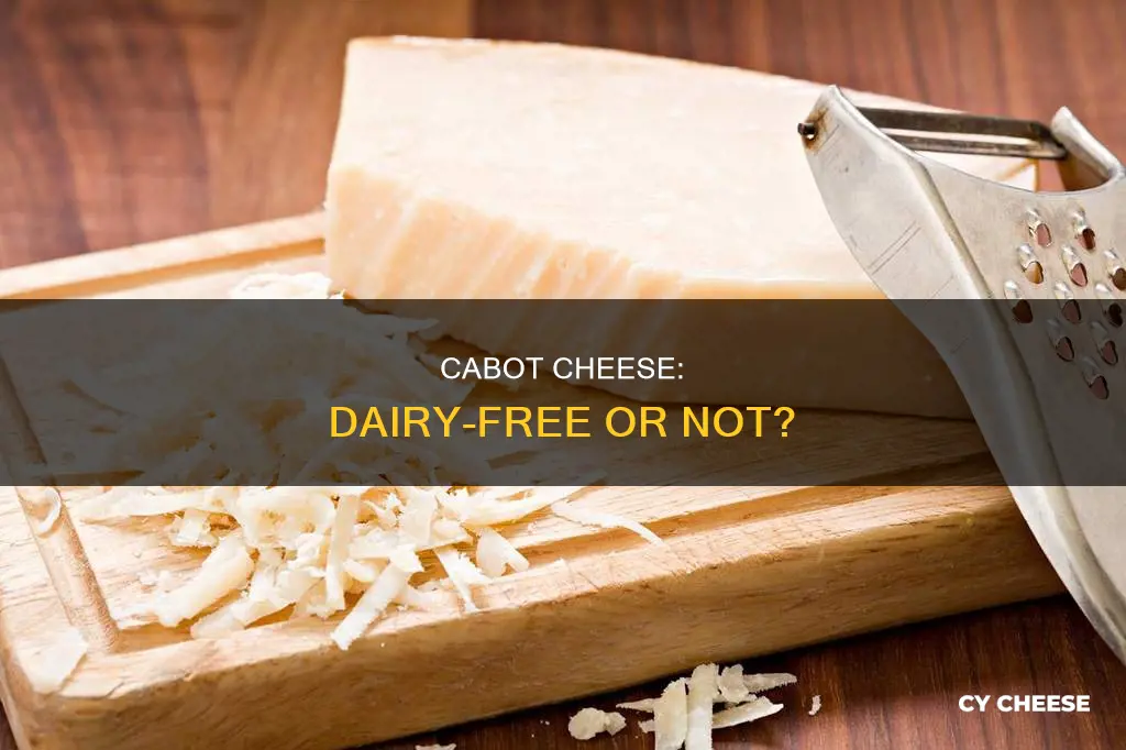 is cabot cheese dairy free