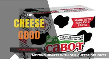 Is Cabot Cheese Good? A Tasty Review of Quality and Flavor