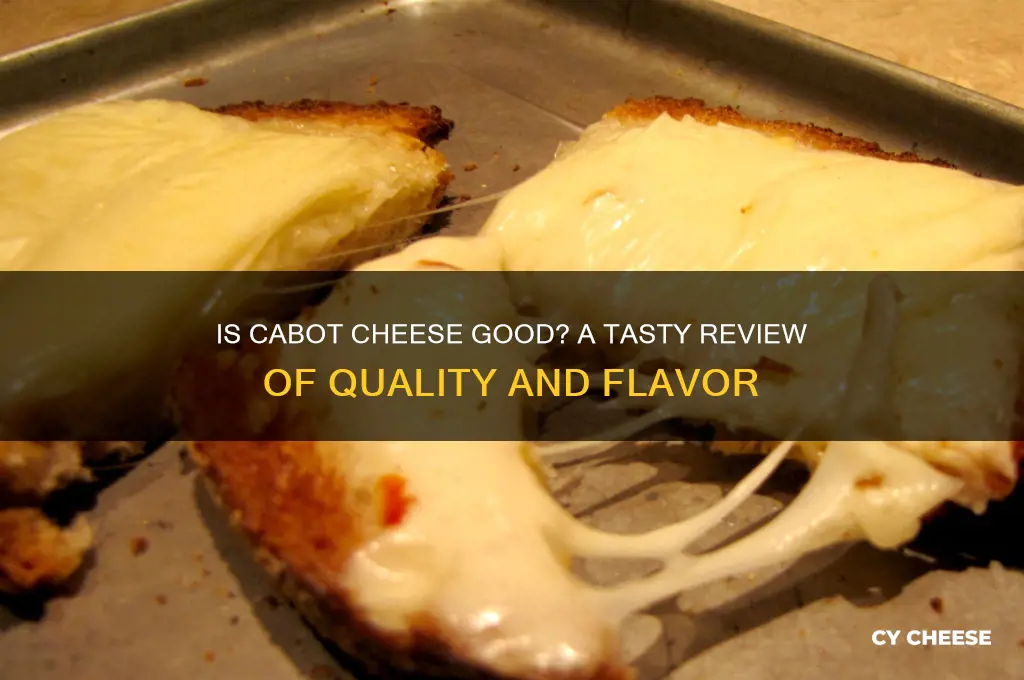 is cabot cheese good