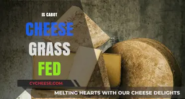 Is Cabot Cheese Grass Fed? Uncovering the Truth Behind the Label