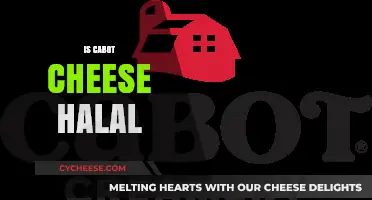 Is Cabot Cheese Halal? Exploring Ingredients and Certification Details