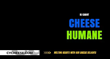 Is Cabot Cheese Humane? Exploring Ethical Practices in Dairy Production