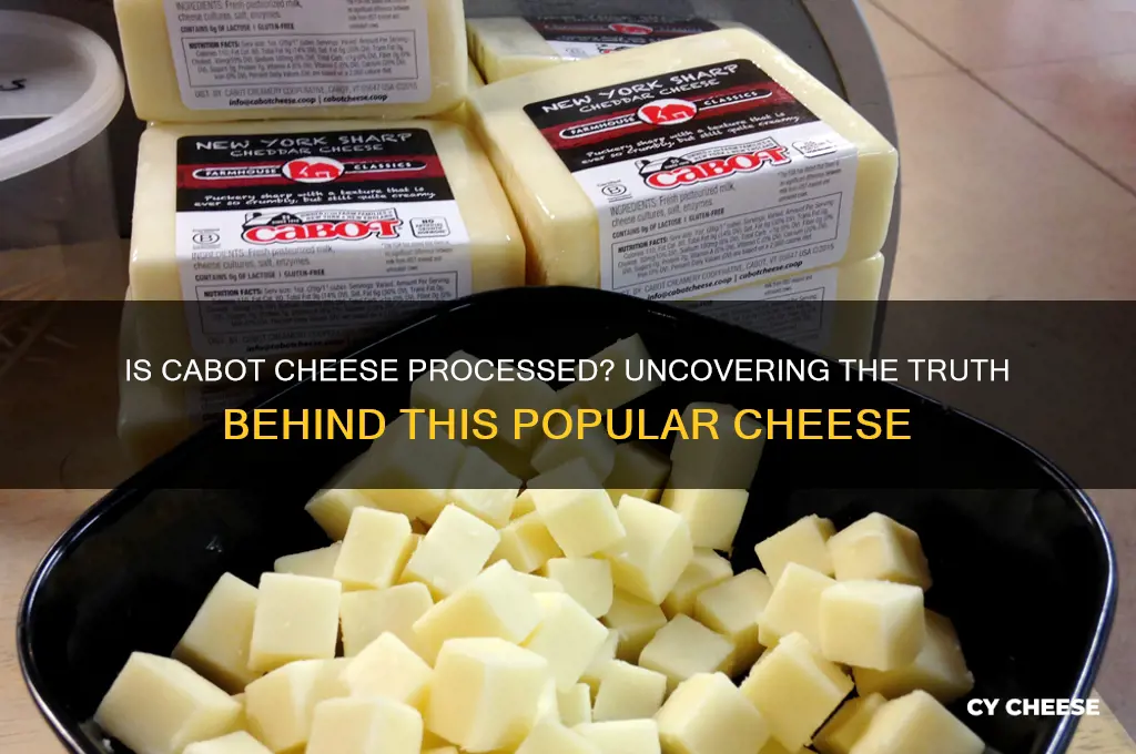 is cabot cheese processed