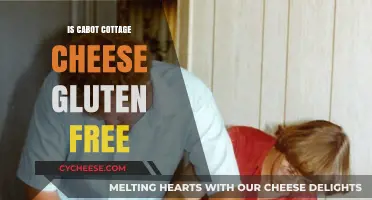 Is Cabot Cottage Cheese Gluten-Free? A Complete Guide for Dieters