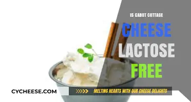 Is Cabot Cottage Cheese Lactose Free? A Complete Guide