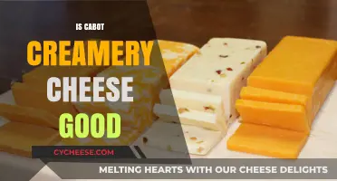 Cabot Creamery Cheese: Delicious and Worth the Hype?