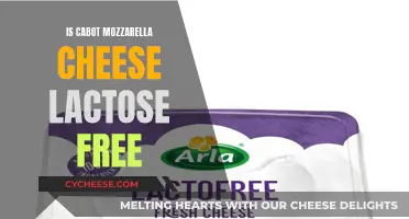Cabot Mozzarella Cheese: Lactose-Free Delicacy?