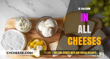 Does Every Cheese Contain Calcium? Uncovering Dairy Nutrition Facts