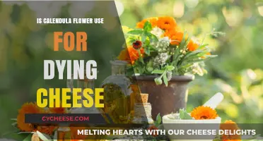 The Art of Cheese Dyeing: Using Calendula Flowers