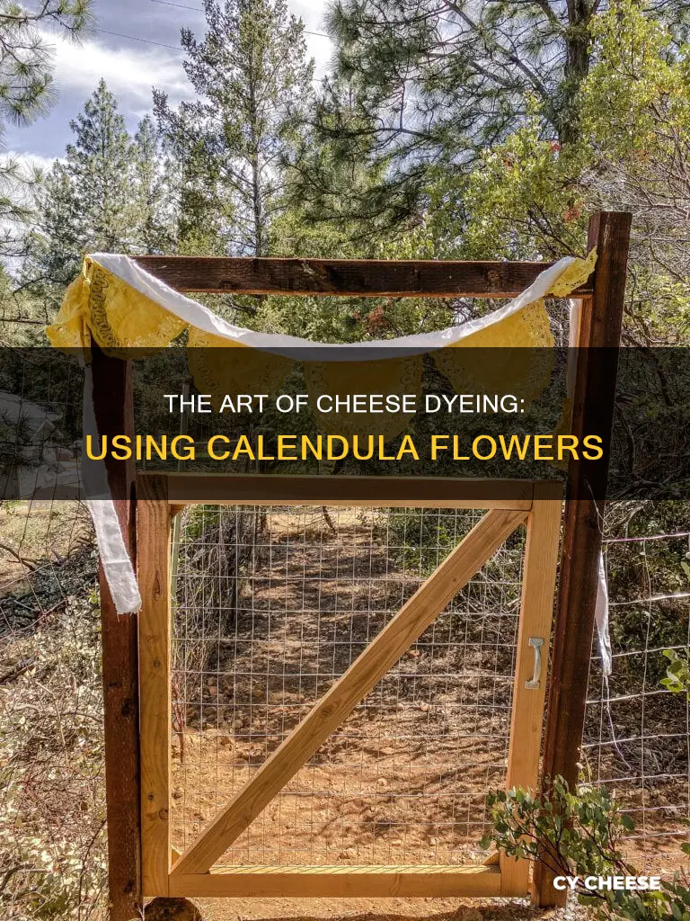 is calendula flower use for dying cheese