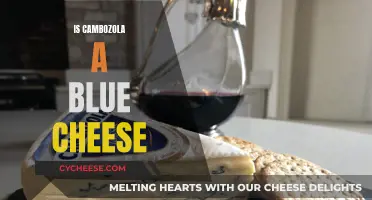 Cambozola: Blue Cheese Hybrid or Not?