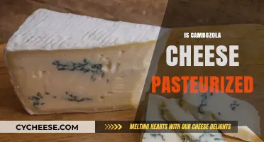 Is Cambozola Cheese Pasteurized? A Comprehensive Guide to Its Production