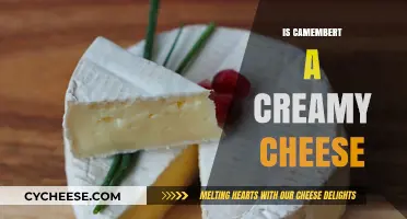 Is Camembert Creamy? Exploring Its Texture and Culinary Uses