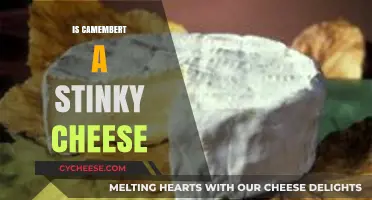 Is Camembert a Stinky Cheese? Unveiling Its Aromatic Truth