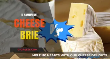 Camembert vs. Brie: Unraveling the Differences Between These Cheeses