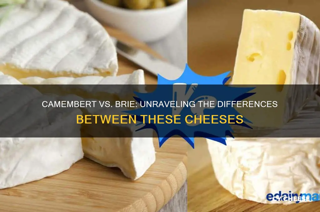 is camembert cheese brie