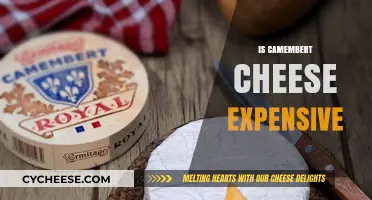 Is Camembert Cheese Expensive? Exploring Costs and Budget-Friendly Options
