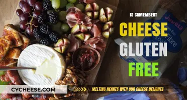 Camembert Cheese: Gluten-Free Delicacy