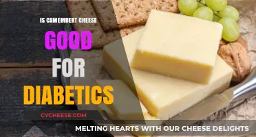 Camembert Cheese: A Healthy Diabetic Diet Option?