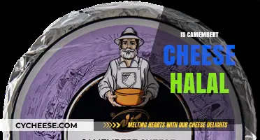 Is Camembert Cheese Halal? Exploring Ingredients and Certification