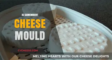 Is Camembert Cheese Mould Safe to Eat? Debunking Myths