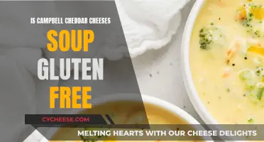 Gluten-Free Cheddar Soup: Campbell's Ingredients Unveiled