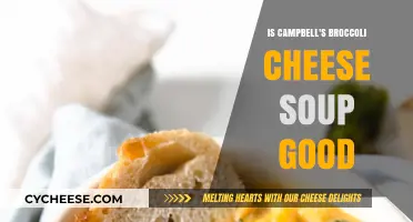 Campbell's Broccoli Cheese Soup: Worth the Hype?