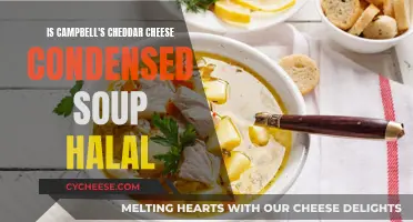 Is Campbell's Cheddar Soup Halal? Uncovering the Ingredients