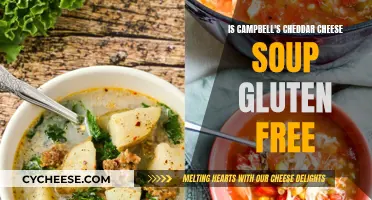 Unraveling the Gluten Mystery: Is Campbell's Cheddar Soup Gluten-Free?