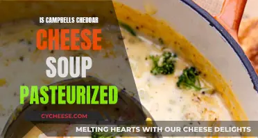 Is Campbell's Cheddar Cheese Soup Pasteurized? Unveiling the Truth