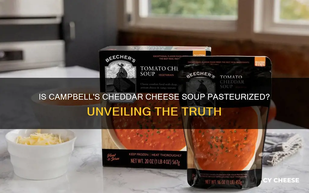 is campbells cheddar cheese soup pasteurized