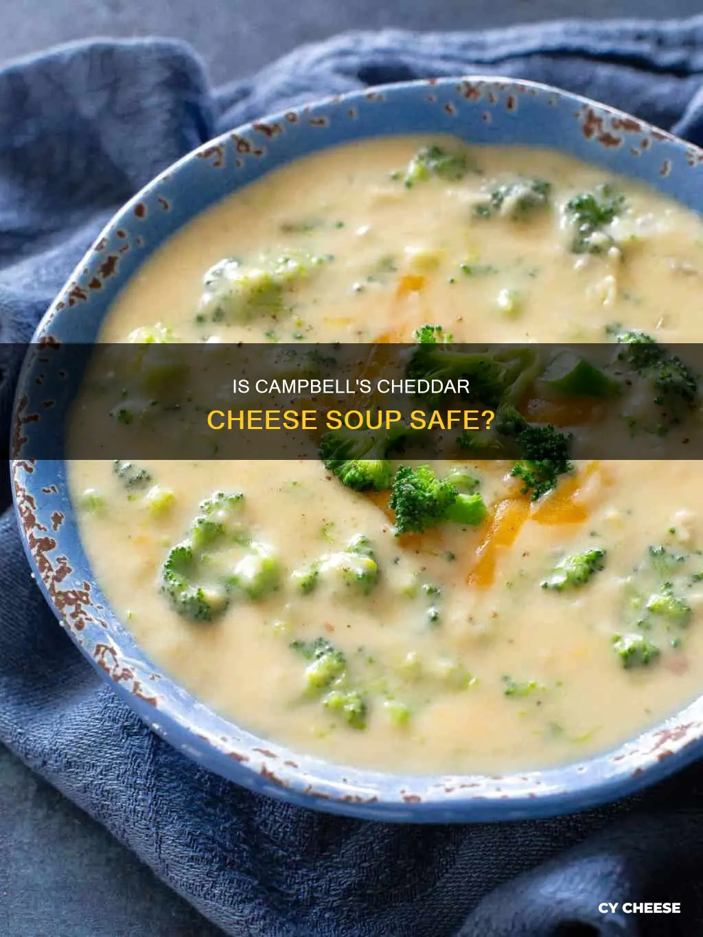 is campbells cheddar cheese soup pasteurized