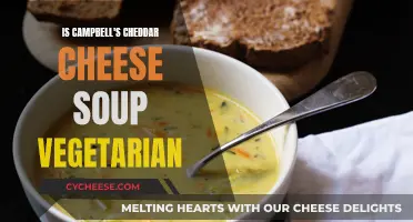 Is Campbell's Cheddar Soup Vegan-Friendly? Unveiling the Vegetarian Truth